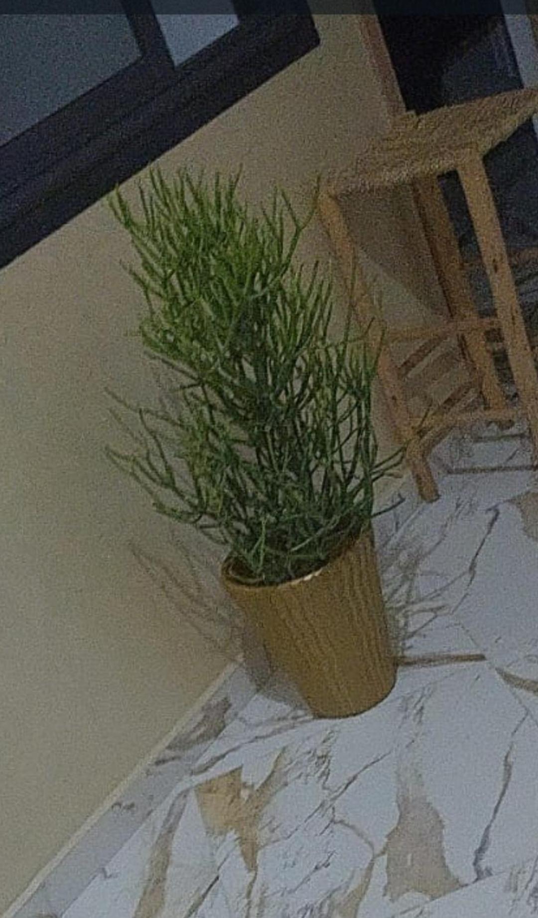 אסאוירה Mogador Appartements T6 מראה חיצוני תמונה